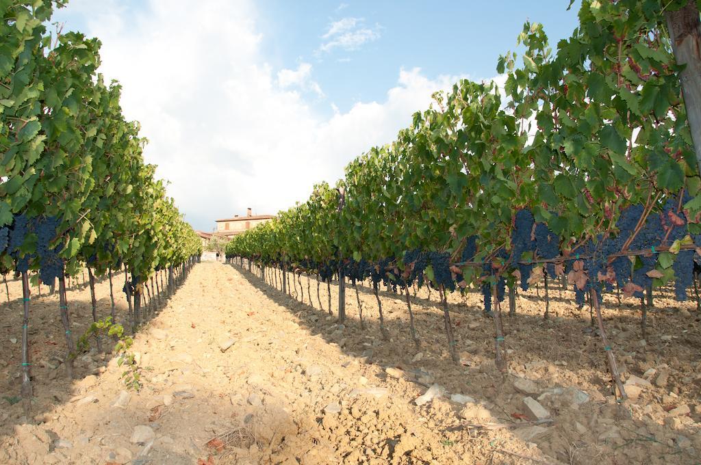 Agriturismo Amina, Winery&Hiking Villa Vagliagli Exterior foto